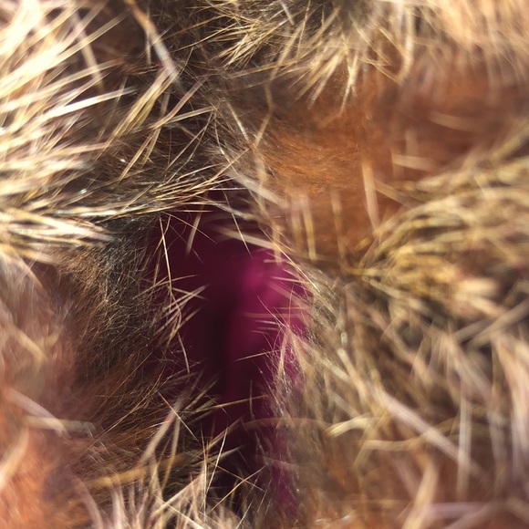 Coach Wristlet - Picture 8 of 10